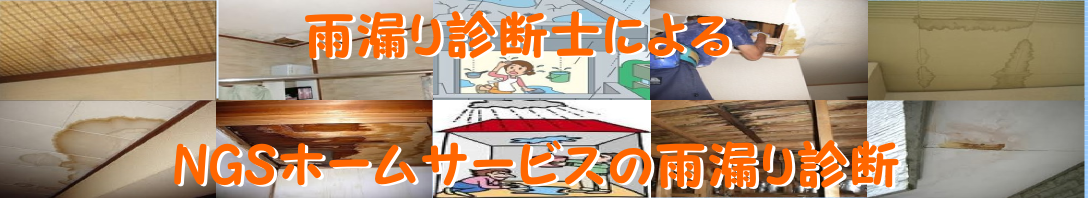 雨漏り診断